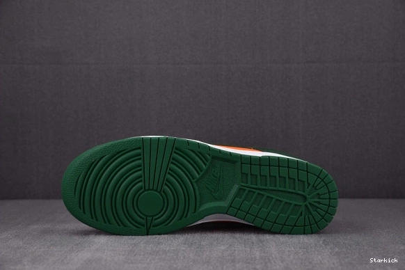 Dunk DD1391-300 Hurricanes Miami Low Nike 0903